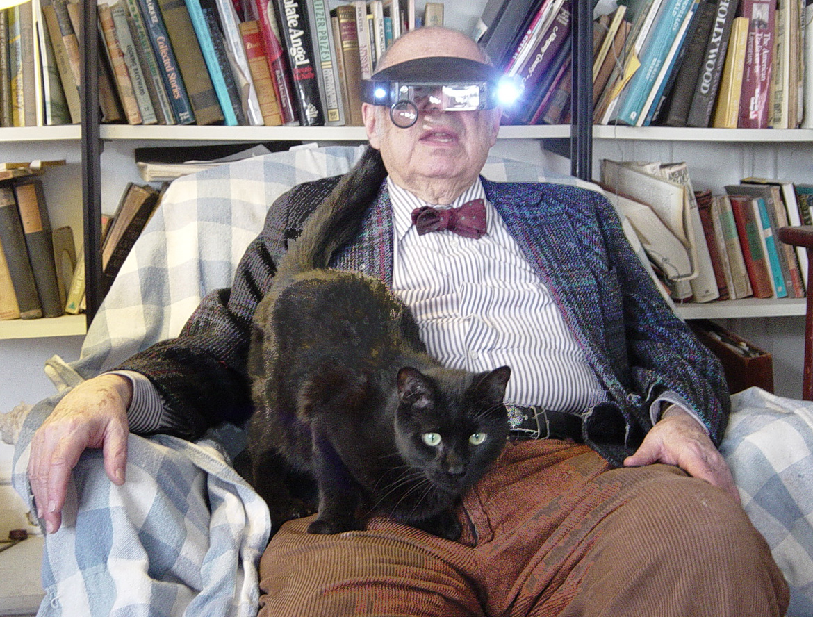 brutus 2 – My Fabulous Career